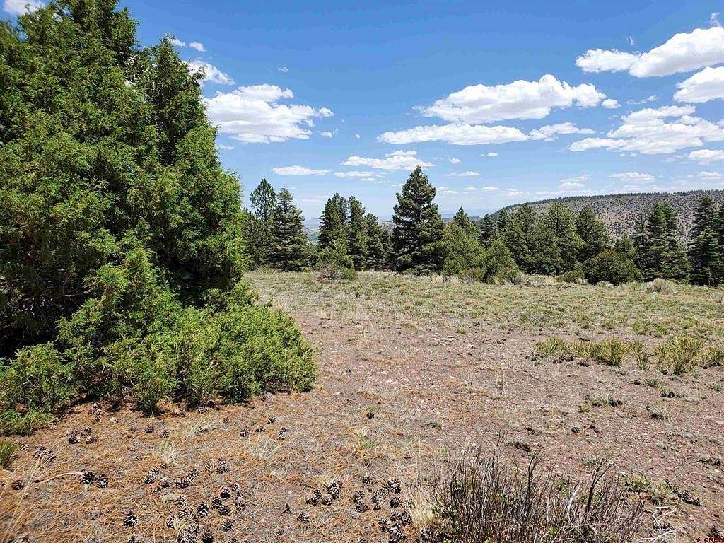 35.5 Acres of Land for Sale in Antonito, Colorado