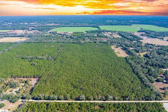 77.2 Acres of Recreational Land & Farm for Sale in Live Oak, Florida