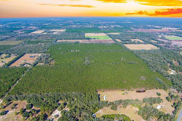 75 Acres of Recreational Land & Farm for Sale in Live Oak, Florida
