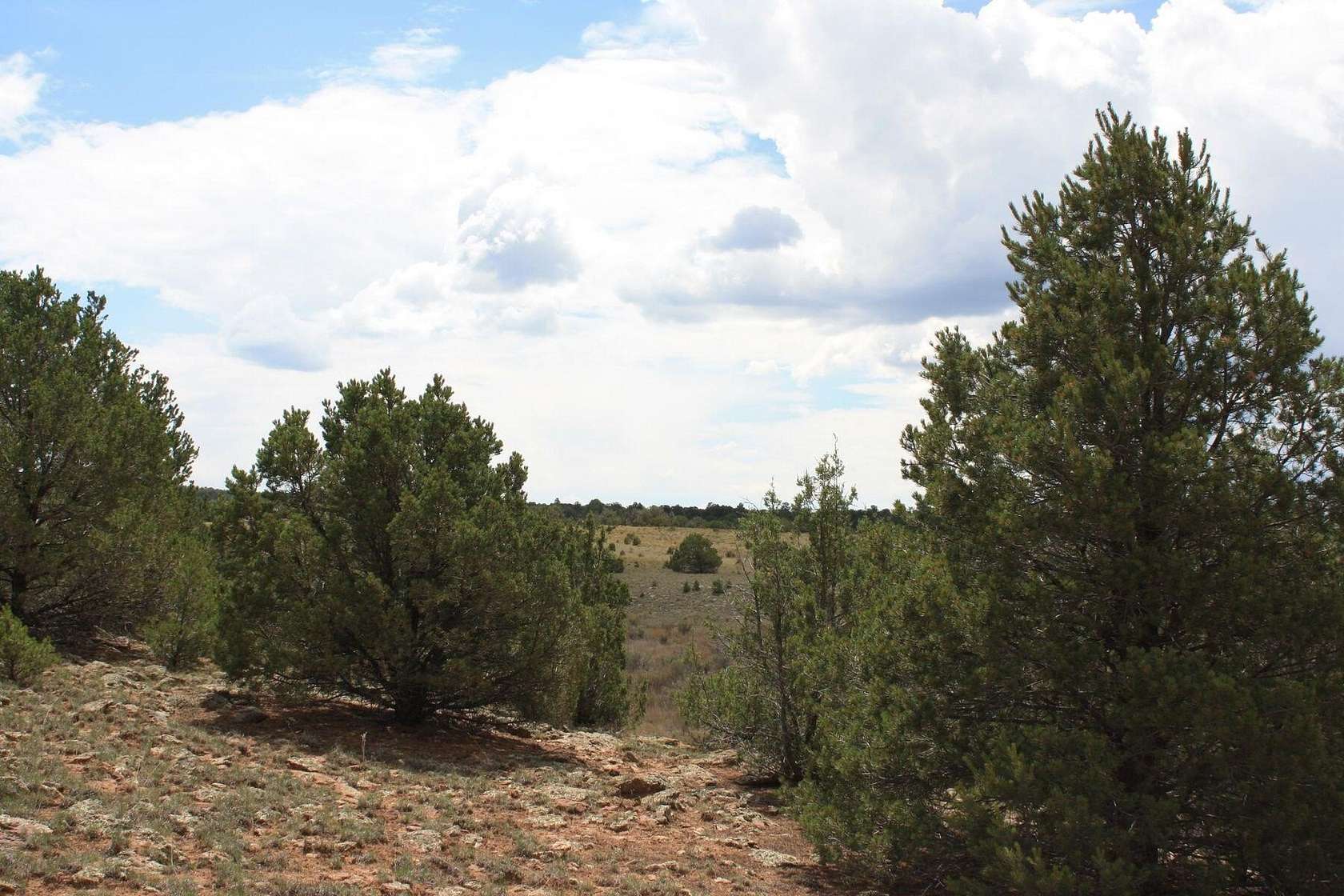 5 Acres of Land for Sale in Ramah, New Mexico