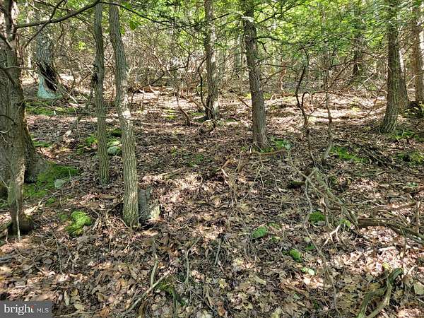0.44 Acres of Land for Sale in Claysburg, Pennsylvania