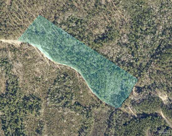 8.7 Acres of Residential Land for Sale in Pace, Florida