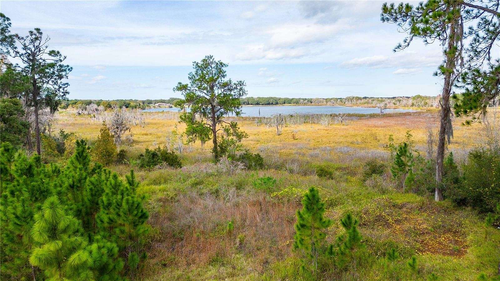 5.8 Acres of Residential Land for Sale in Wesley Chapel, Florida