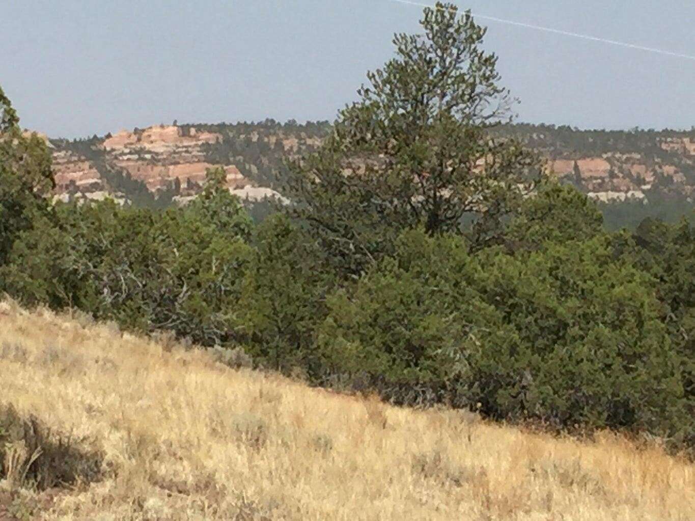 5.4 Acres of Residential Land for Sale in Ramah, New Mexico
