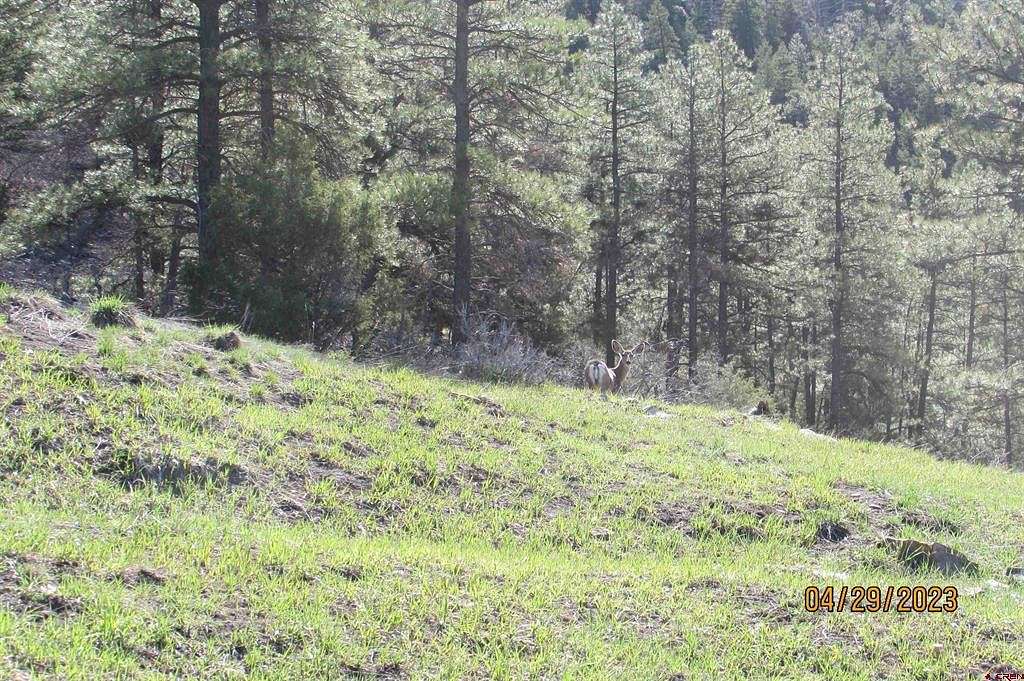 8 Acres of Land for Sale in Pagosa Springs, Colorado