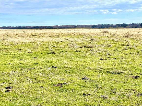 50 Acres of Agricultural Land for Sale in Wortham, Texas