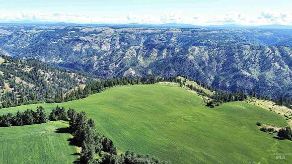 160 Acres of Recreational Land & Farm for Sale in Nezperce, Idaho