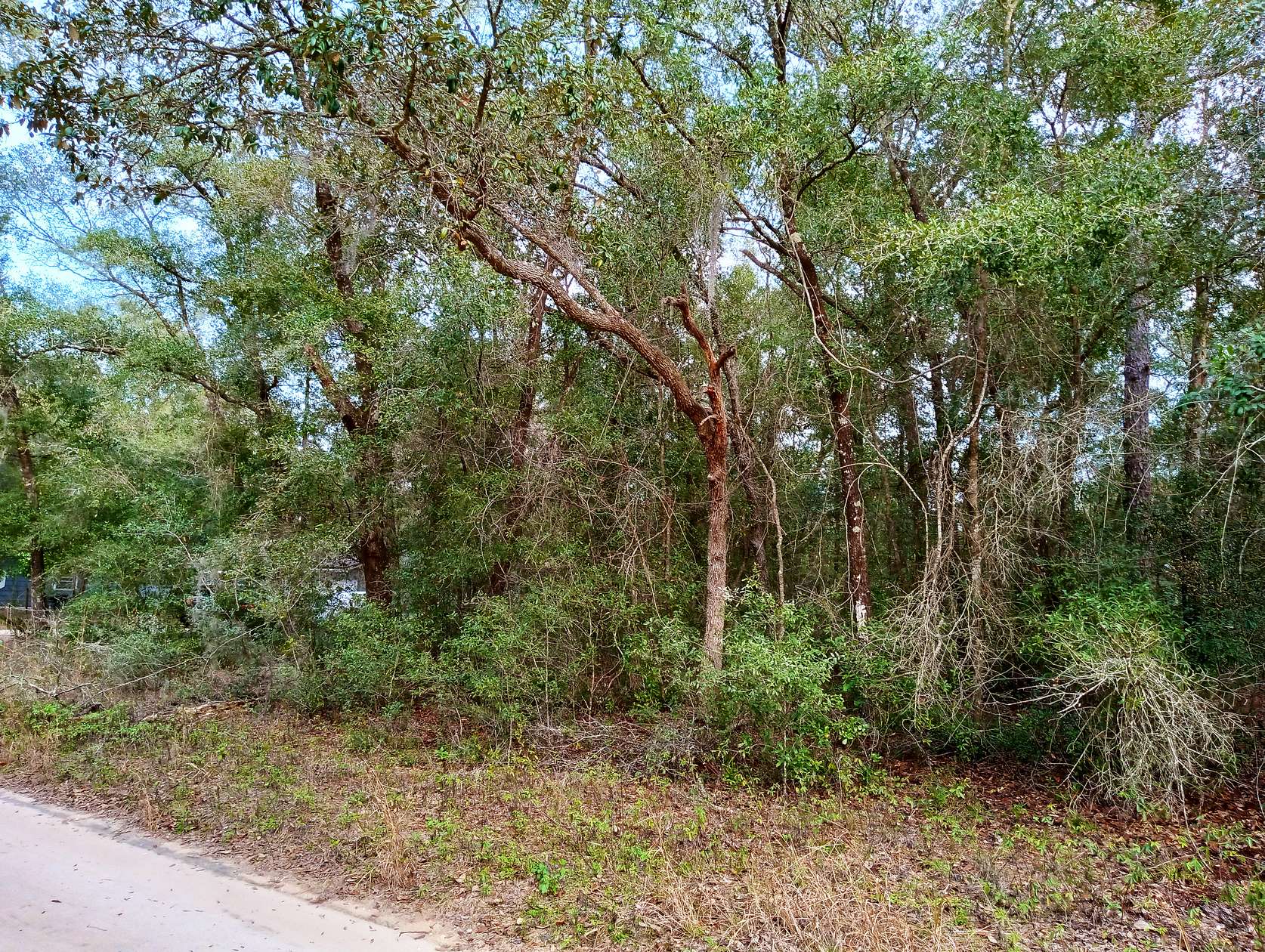 0.25 Acres of Residential Land for Sale in Interlachen, Florida