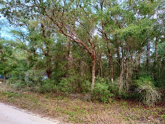 0.25 Acres of Residential Land for Sale in Interlachen, Florida