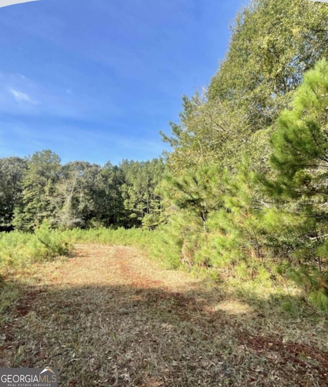 9.3 Acres of Residential Land for Sale in Covington, Georgia