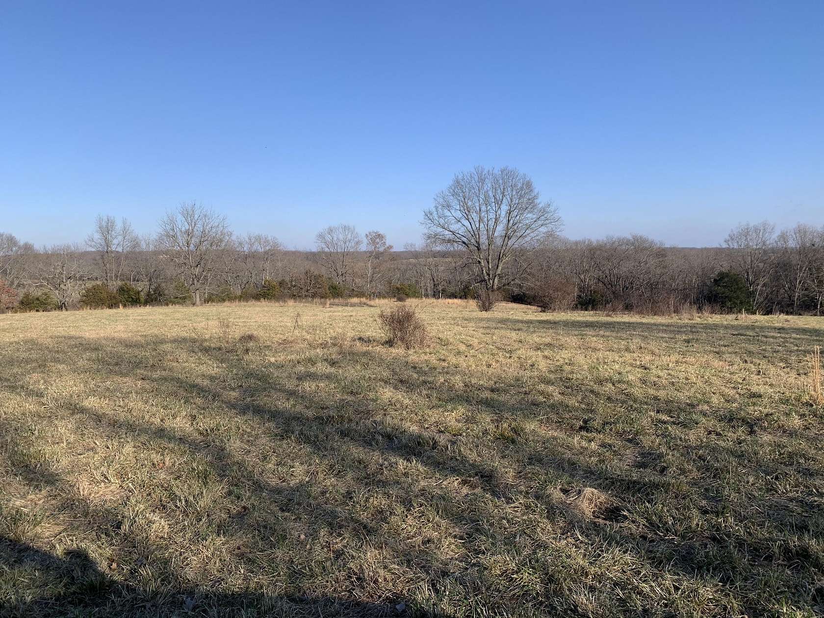 28.7 Acres of Land for Sale in Clever, Missouri