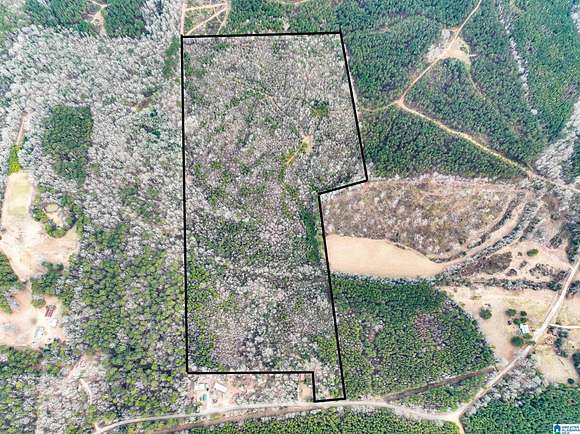 68.8 Acres of Recreational Land for Sale in Randolph, Alabama