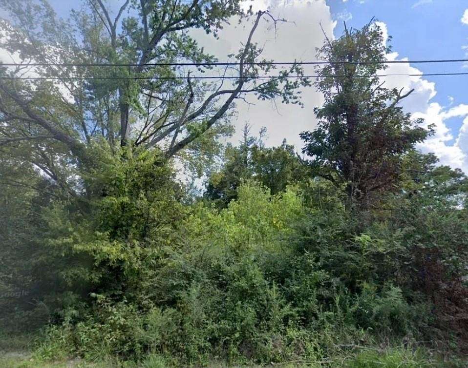 0.16 Acres of Residential Land for Sale in Hornor Township, Arkansas