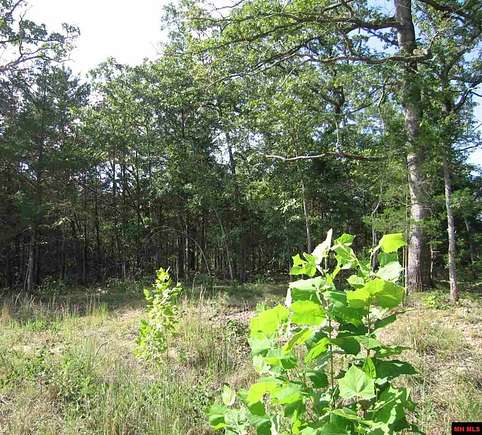 1.4 Acres of Land for Sale in Flippin, Arkansas
