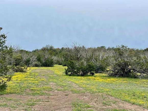 34.27 Acres of Recreational Land for Sale in Eldorado, Texas