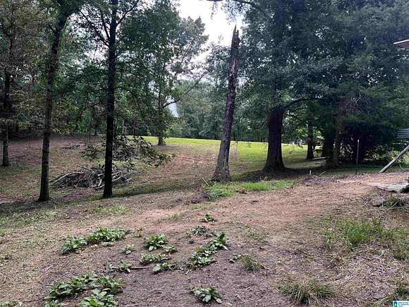 2.4 Acres of Residential Land with Home for Sale in Adger, Alabama