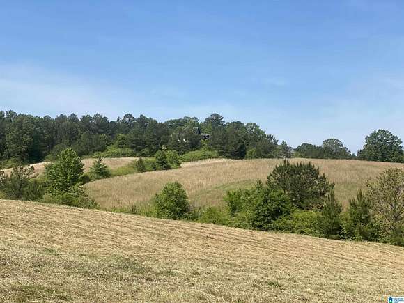 10.2 Acres of Land for Sale in Helena, Alabama