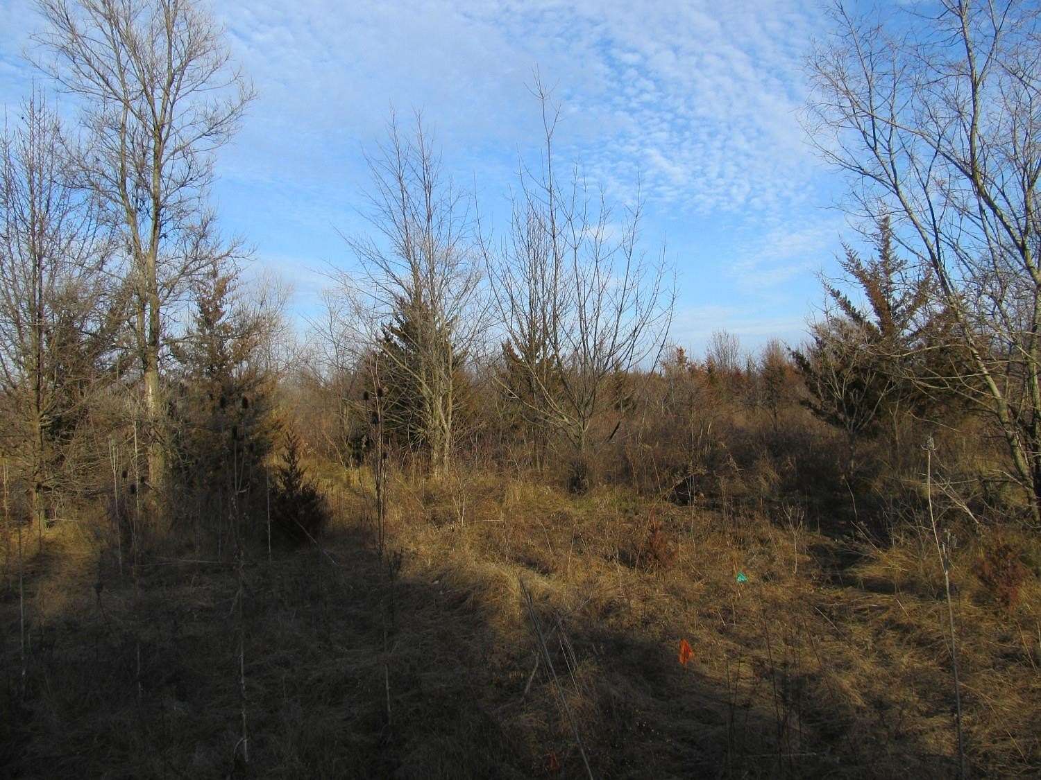 1.5 Acres of Commercial Land for Sale in Merrillville, Indiana