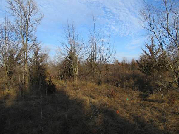 1.5 Acres of Commercial Land for Sale in Merrillville, Indiana