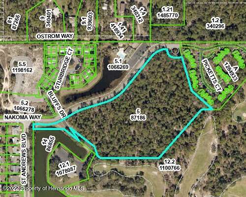 13.5 Acres of Land for Sale in Weeki Wachee, Florida