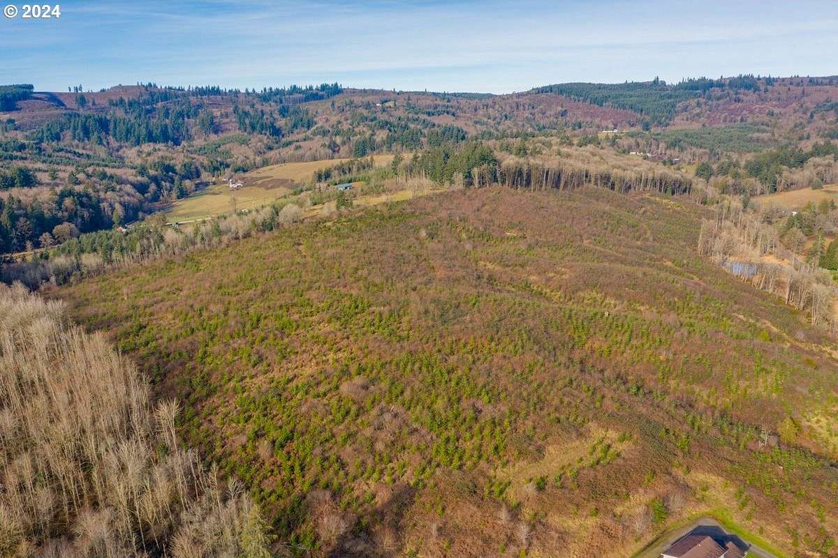 65.7 Acres of Land for Sale in Rainier, Oregon