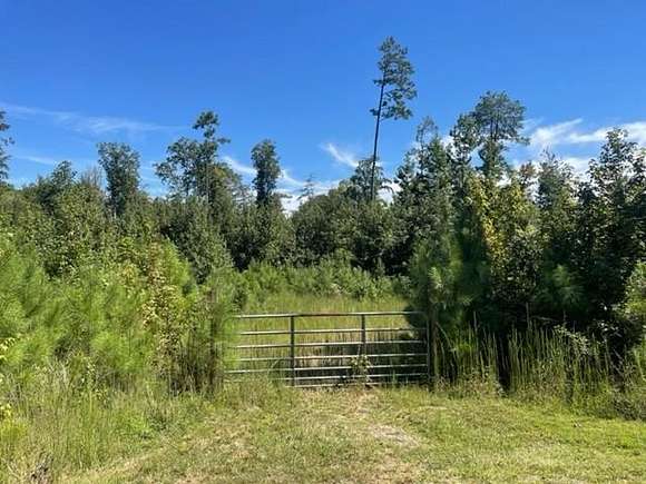 33.7 Acres of Land for Sale in Chattahoochee Hills, Georgia