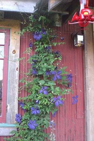 8 Acres of Land with Home for Lease in Hurleyville, New York