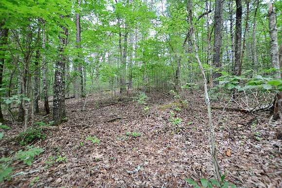 1 Acre of Residential Land for Sale in Hiawassee, Georgia