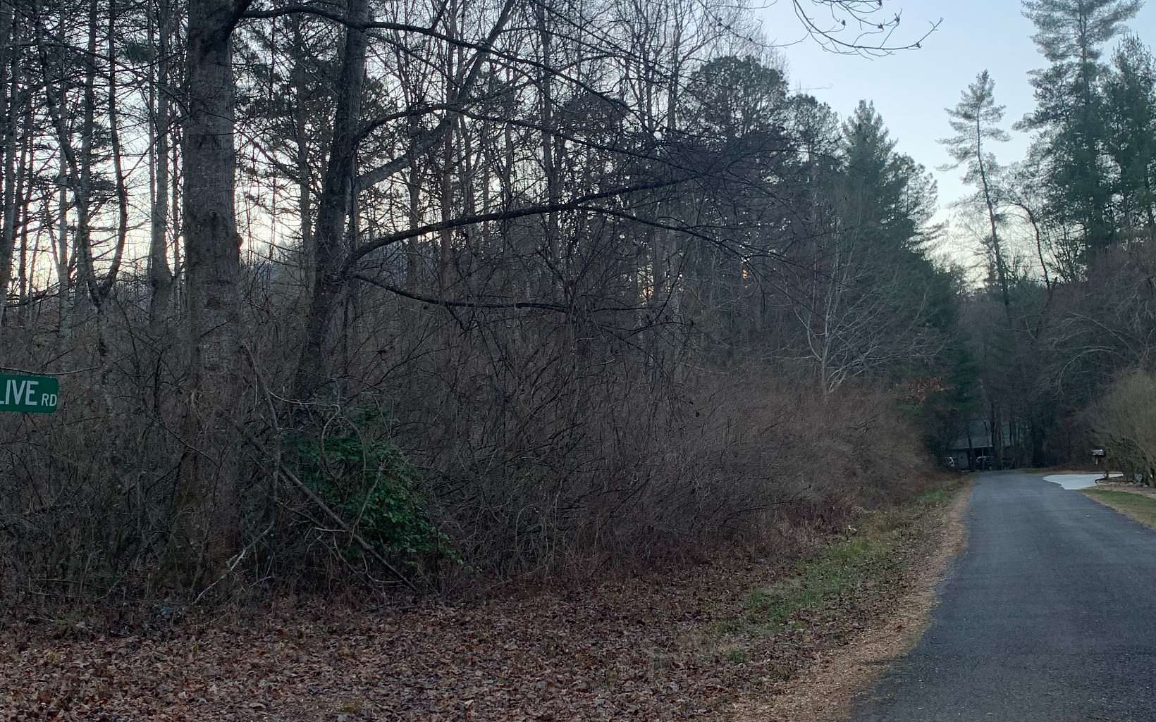 1.1 Acres of Land for Sale in Hiawassee, Georgia