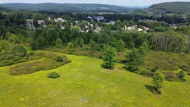 46.65 Acres of Recreational Land for Sale in Bainbridge, New York