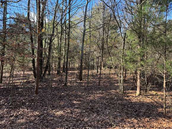 27 Acres of Recreational Land & Farm for Sale in Carnesville, Georgia