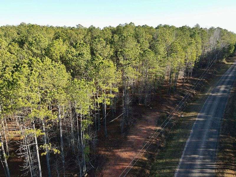 20 Acres of Improved Land for Sale in Roanoke, Alabama