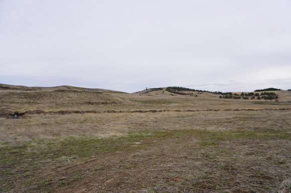 10 Acres of Residential Land for Sale in Cheney, Washington