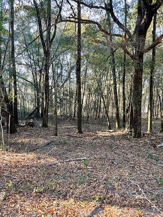 2.27 Acres of Recreational Land for Sale in Fort Gaines, Georgia