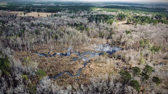 233 Acres of Recreational Land for Sale in Jena, Louisiana