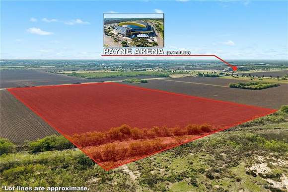 23.7 Acres of Land for Sale in Hidalgo, Texas