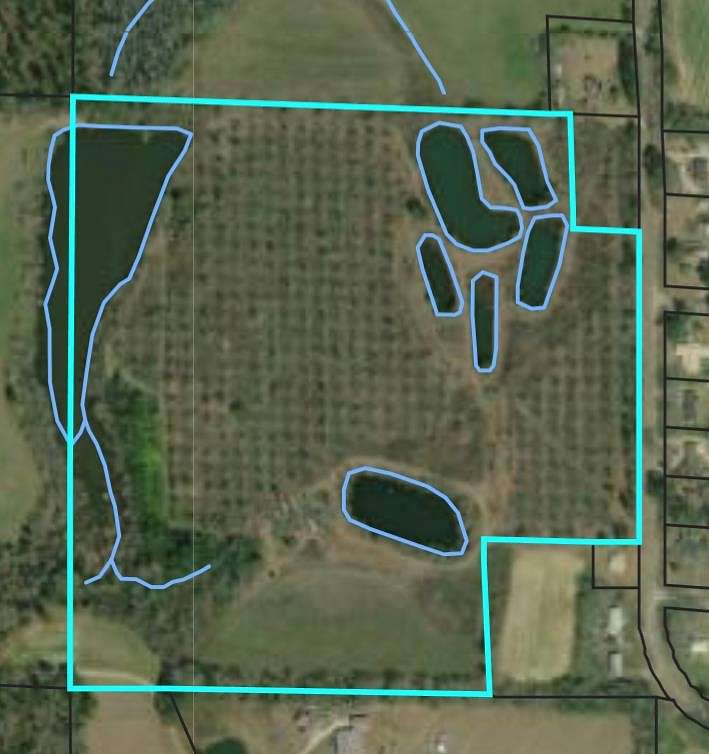 38.5 Acres of Land for Sale in Ashford, Alabama