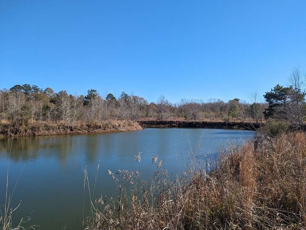 38.5 Acres of Land for Sale in Ashford, Alabama