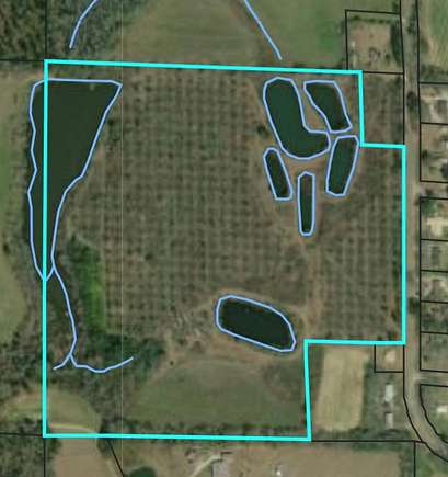 38.5 Acres of Land for Sale in Ashford, Alabama