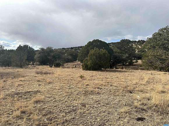 65 Acres of Land for Sale in Hanover, New Mexico