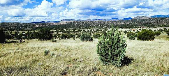 10 Acres of Land for Sale in Mimbres, New Mexico