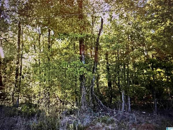 1.8 Acres of Land for Sale in Birmingham, Alabama