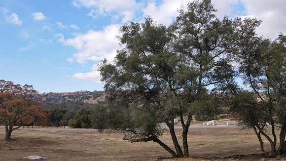 7.8 Acres of Land for Sale in Coarsegold, California - LandSearch