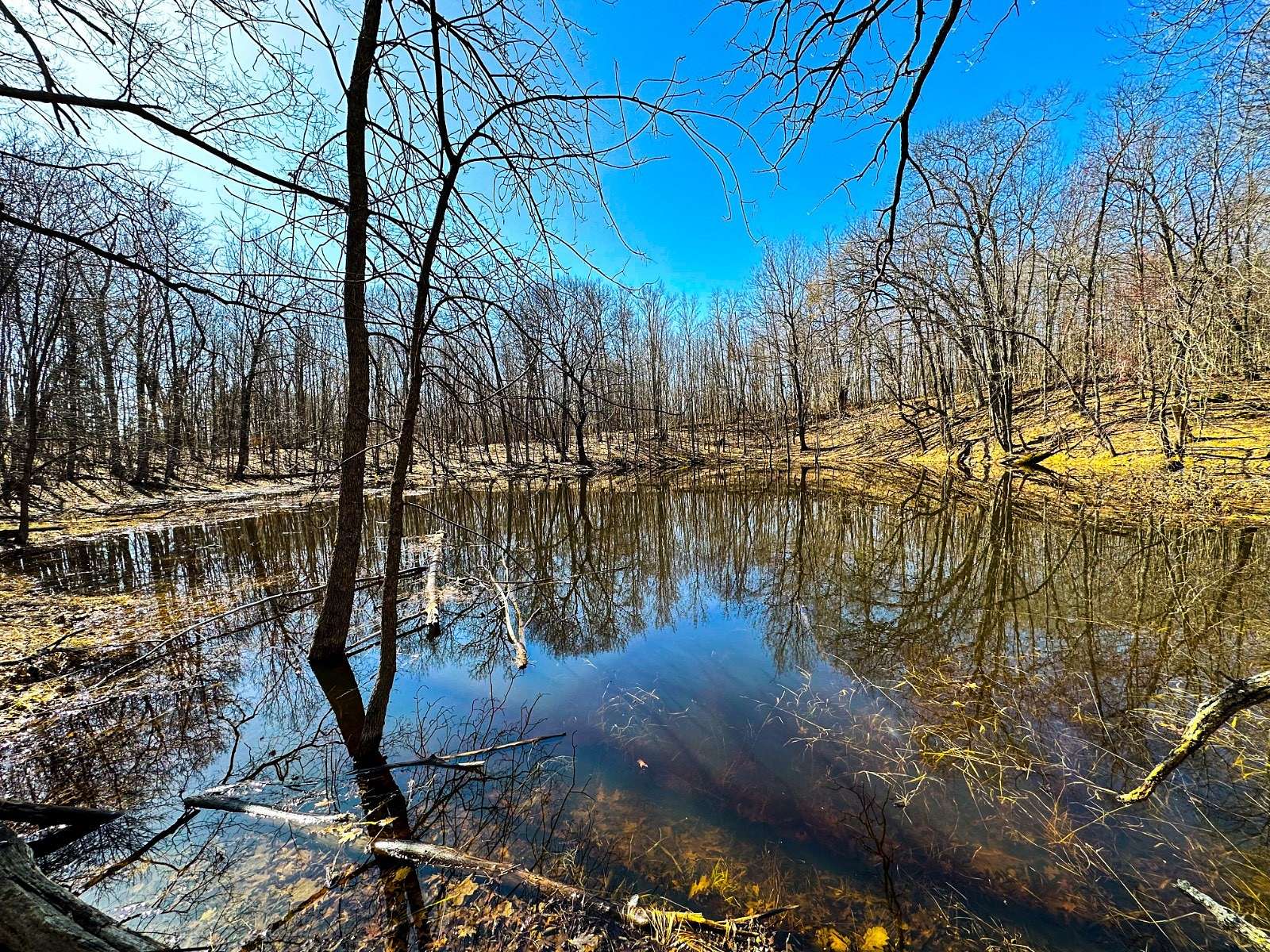 15.5 Acres of Recreational Land for Sale in Balsam Lake, Wisconsin