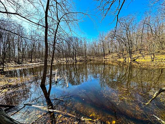 15.5 Acres of Recreational Land for Sale in Balsam Lake, Wisconsin