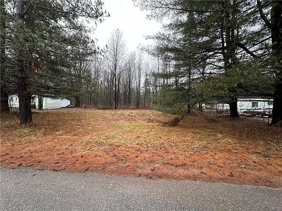 19.6 Acres of Land for Sale in Carthage, New York