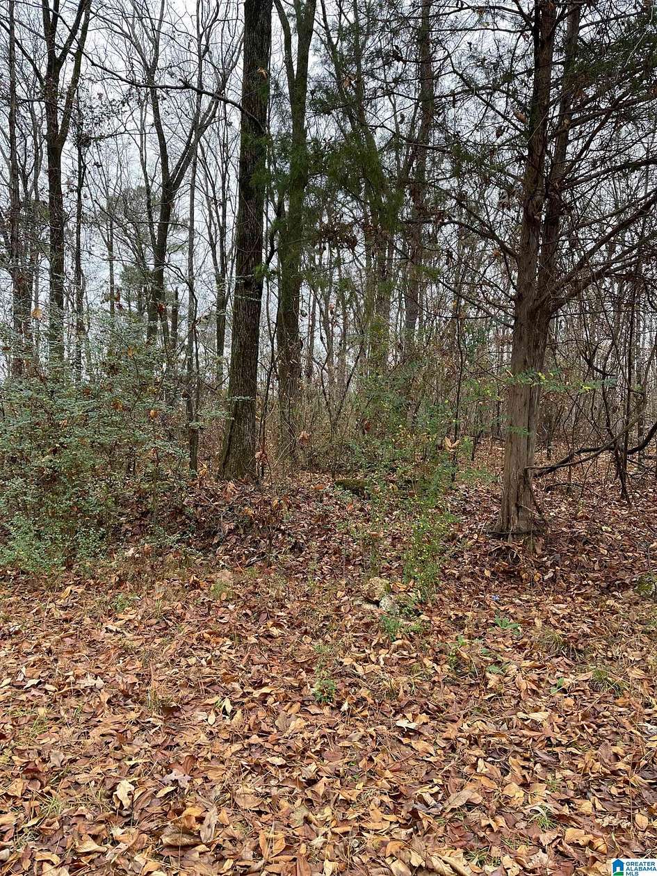 0.37 Acres of Residential Land for Sale in Talladega, Alabama