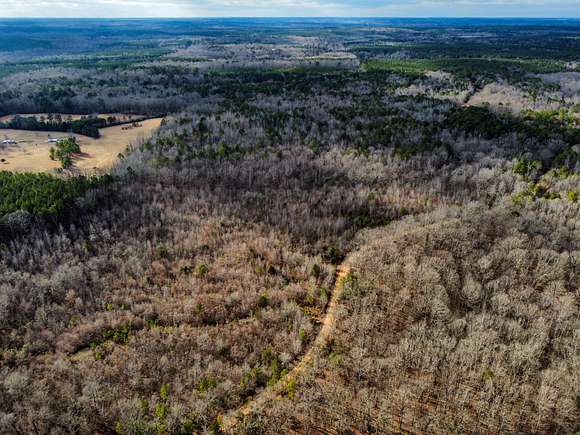 3.9 Acres of Residential Land for Sale in Pontotoc, Mississippi