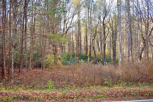 0.58 Acres of Residential Land for Sale in Marietta, South Carolina