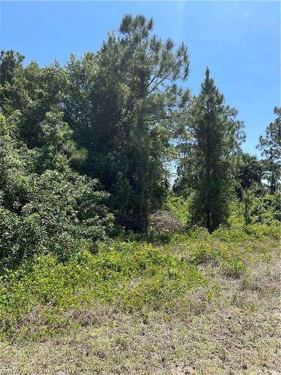 0.226 Acres of Residential Land for Sale in Lehigh Acres, Florida